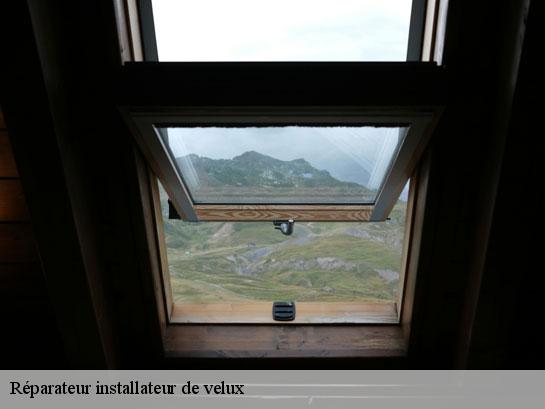 Réparateur installateur de velux  crouy-sur-ourcq-77840 Entreprise Desimpel 77