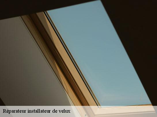Réparateur installateur de velux  crouy-sur-ourcq-77840 Entreprise Desimpel 77