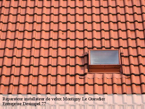 Réparateur installateur de velux  montigny-le-guesdier-77480 Entreprise Desimpel 77