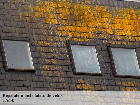Réparateur installateur de velux  saint-martin-en-biere-77630 Entreprise Desimpel 77