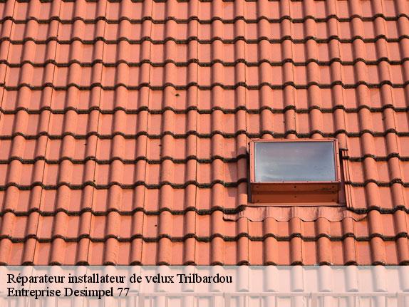 Réparateur installateur de velux  trilbardou-77450 Entreprise Desimpel 77