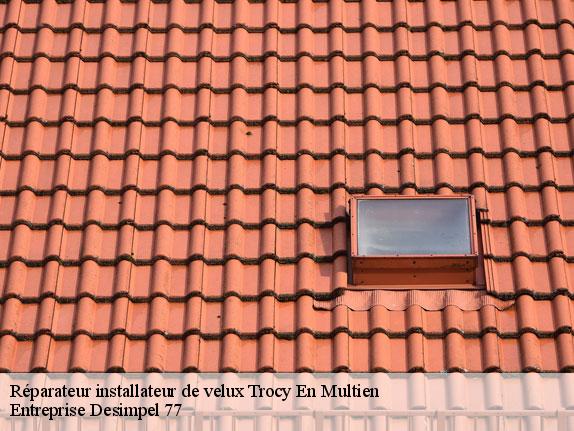 Réparateur installateur de velux  trocy-en-multien-77440 Entreprise Desimpel 77