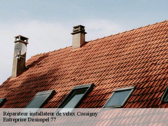 Réparateur installateur de velux  cossigny-77173 Entreprise Desimpel 77